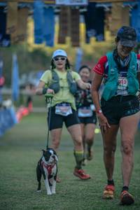 BIB: 
                            <button type="button" onclick="openModal(26800019)" class="btn btn-primary btn-sm float-right btn-popup" data-toggle="modal" data-target=".modal-high-quality">
                        <i class="fas fa-shopping-cart"></i> Add to Cart
                    </button>
                                            <button type="button" onclick="isThisMe(26800019, true)" class="btn btn-success btn-sm float-right btn-popup btn-isme hidden" data-toggle="tooltip" data-placement="bottom" title="นี่คือรูปของคุณใช่ไหม คลิกที่นี่เพื่อเอาเข้าอัลบั้ม">
                        <i class="fas fa-plus"></i> Add to album
                    </button>
                    <button type="button" onclick="isThisMe(26800019, false)" class="btn btn-warning btn-sm float-right btn-popup btn-isnotme hidden">
                        <i class="fas fa-ban"></i> Remove from album
                    </button>